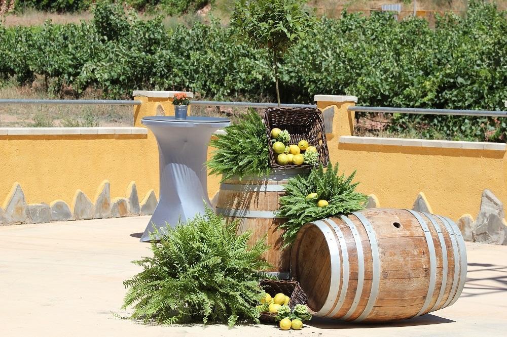 Atalaya Hostel Bogarra Екстериор снимка
