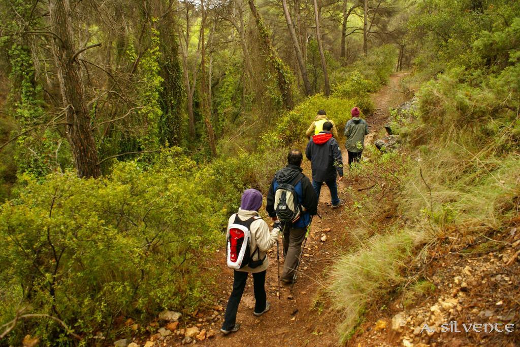 Atalaya Hostel Bogarra Екстериор снимка